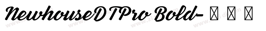 NewhouseDTPro Bold字体转换